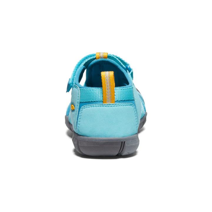 Big Kids' Blue Water Sandals - Seacamp II CNX | Kids KEEN Water
