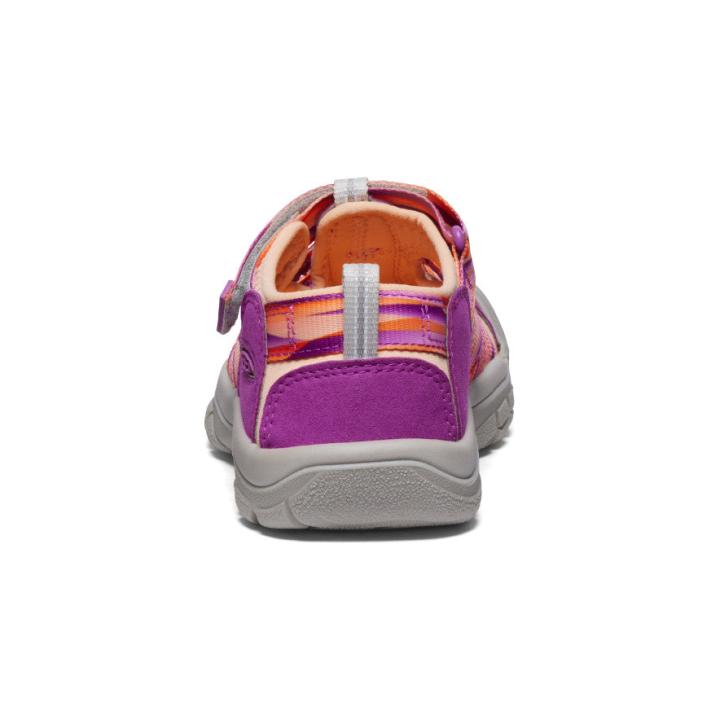 Big Kids' Newport H2 Willowherb/Tangerine Sandal | Kids KEEN Big Kids’