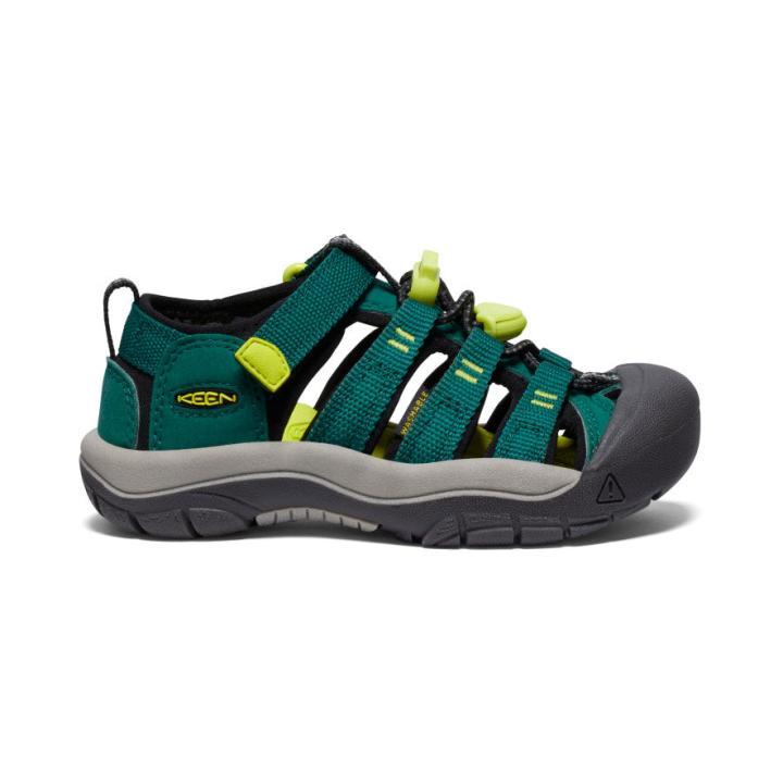 Little Kids' Newport H2 Aventurine/Evening Primrose Sandal | Kids KEEN Hike