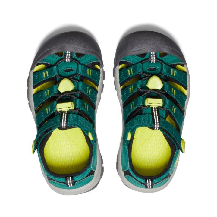 Little Kids' Newport H2 Aventurine/Evening Primrose Sandal | Kids KEEN Hike