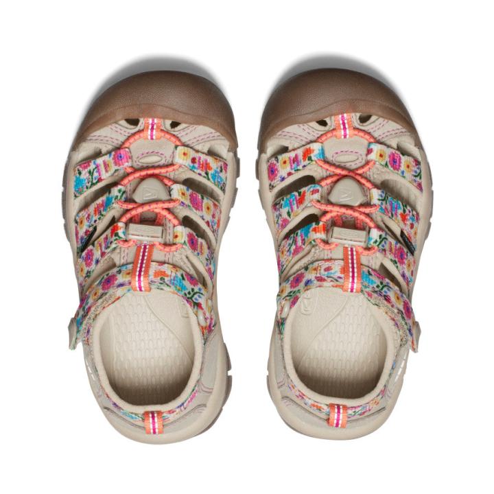 Little Kids' Newport H2 Safari/Birch Sandal | Kids KEEN Hike