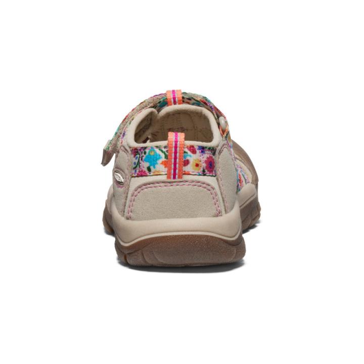 Little Kids' Newport H2 Safari/Birch Sandal | Kids KEEN Hike
