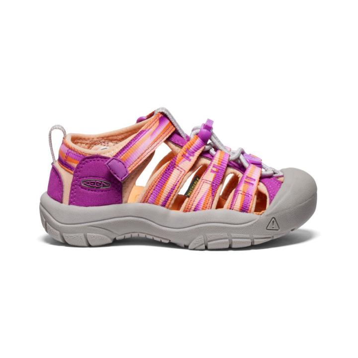 Little Kids' Newport H2 Willowherb/Tangerine Sandal | Kids KEEN Hike