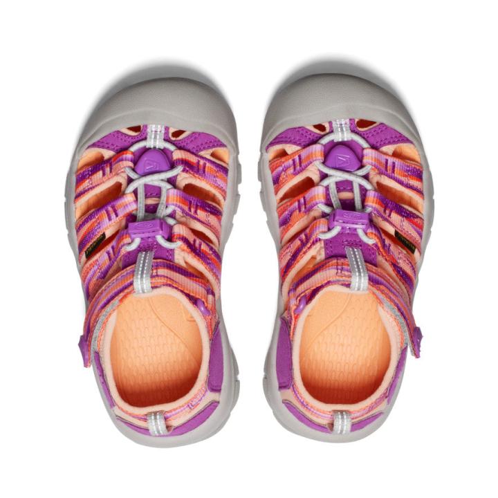 Little Kids' Newport H2 Willowherb/Tangerine Sandal | Kids KEEN Hike