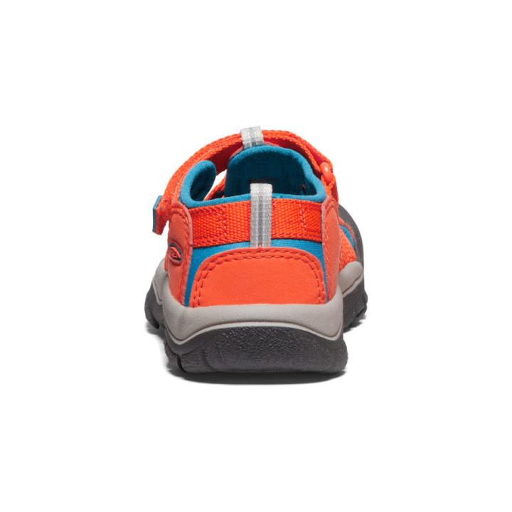 Little Kids' Orange Water Hiking Sandals - Newport H2 | Kids KEEN Hike