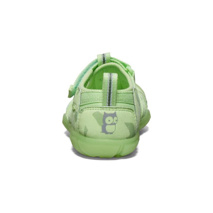 Little Kids' Seacamp II CNX Paradise Sandal | Kids KEEN Playground