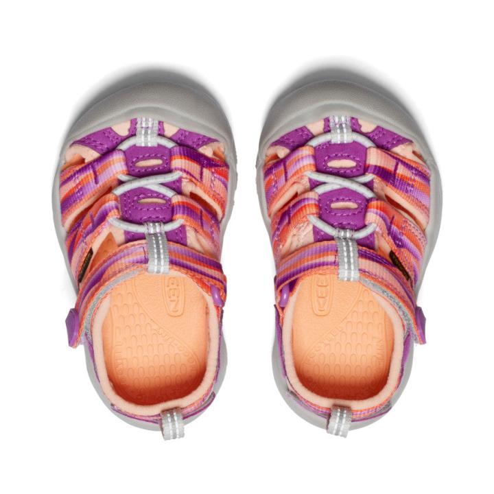 Toddlers' Newport H2 Willowherb/Tangerine Sandal | Kids KEEN Sandals