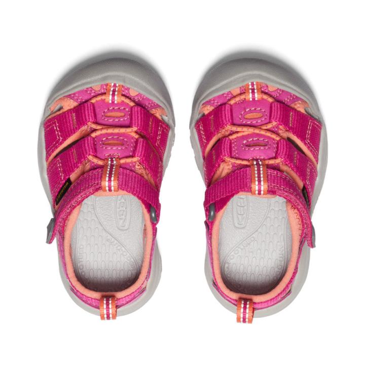 Toddlers' Pink Water Sandals - Newport H2 | Kids KEEN Water