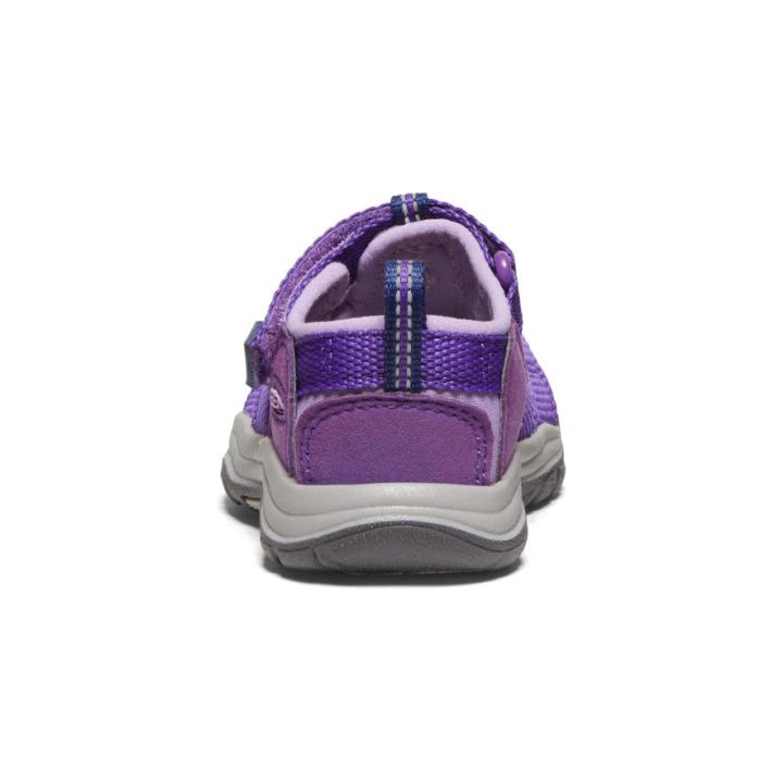 Toddlers' Purple Water Sandals - Newport H2 | Kids KEEN Sandals