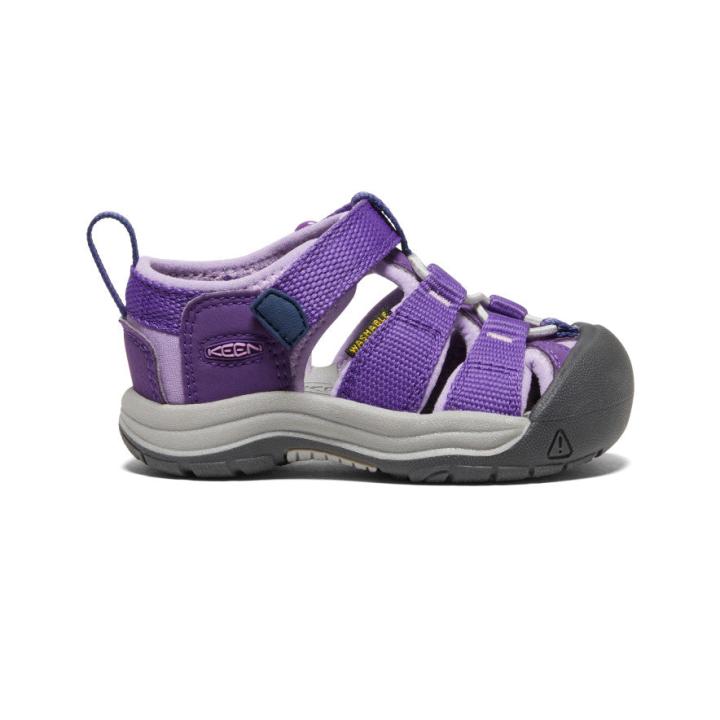 Toddlers' Purple Water Sandals - Newport H2 | Kids KEEN Water