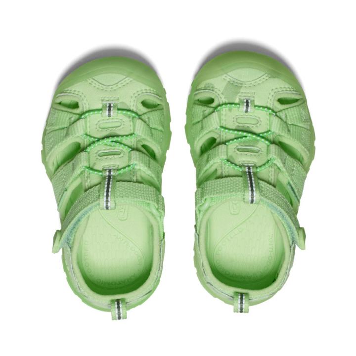 Toddlers' Seacamp II CNX Paradise Sandal | Kids KEEN Water