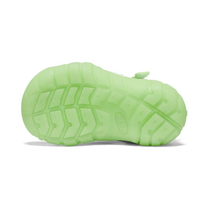 Toddlers' Seacamp II CNX Paradise Sandal | Kids KEEN Water